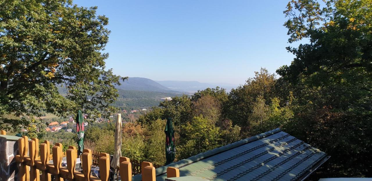 Forrest Hotel Chomutov Zewnętrze zdjęcie